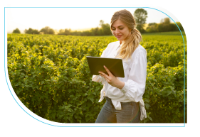 Secullum virtual imagem um