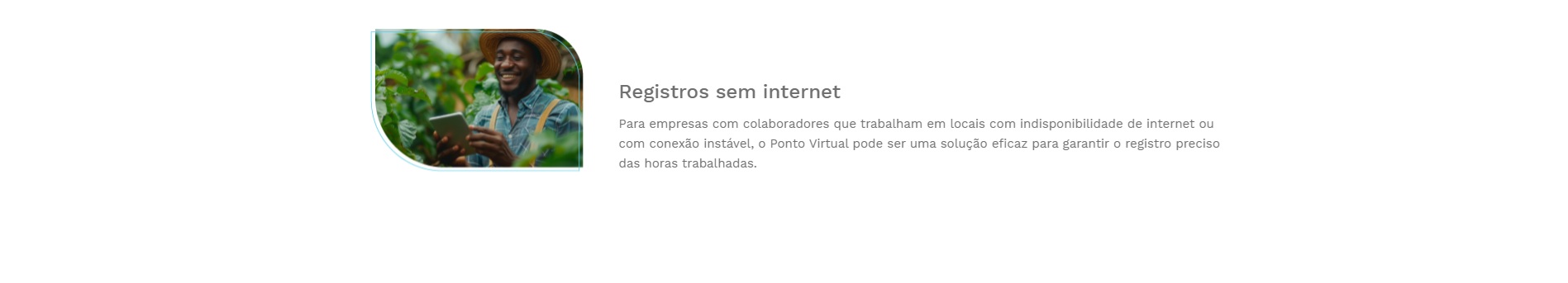 Secullum virtual imagem dois