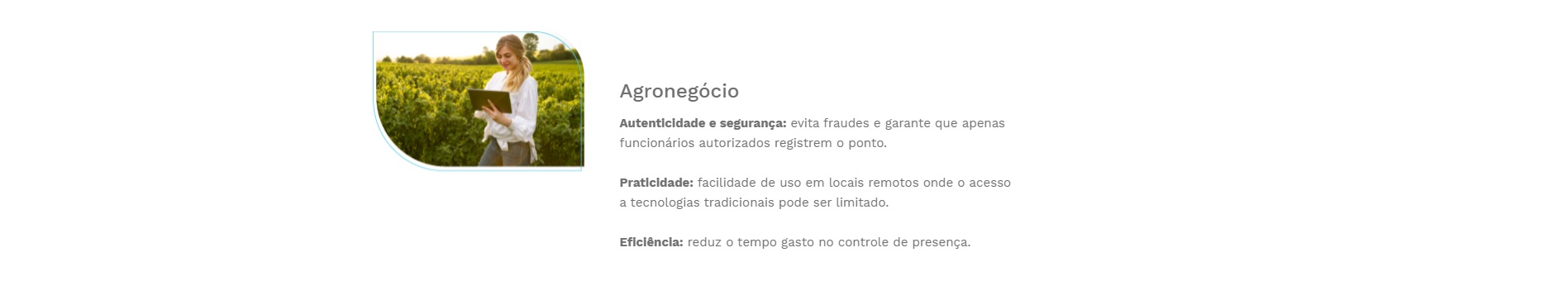 Secullum virtual imagem um