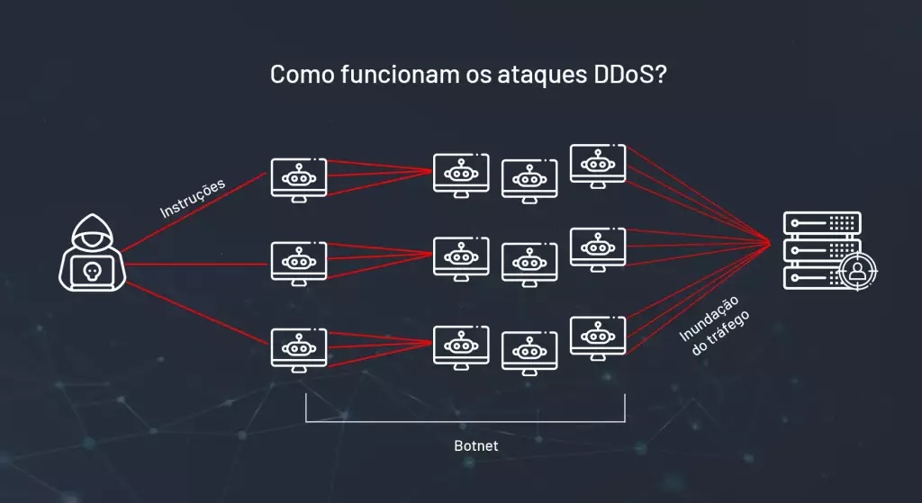 informações docnet